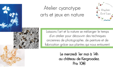 Atelier Cyanotype - Art et jeux en nature
